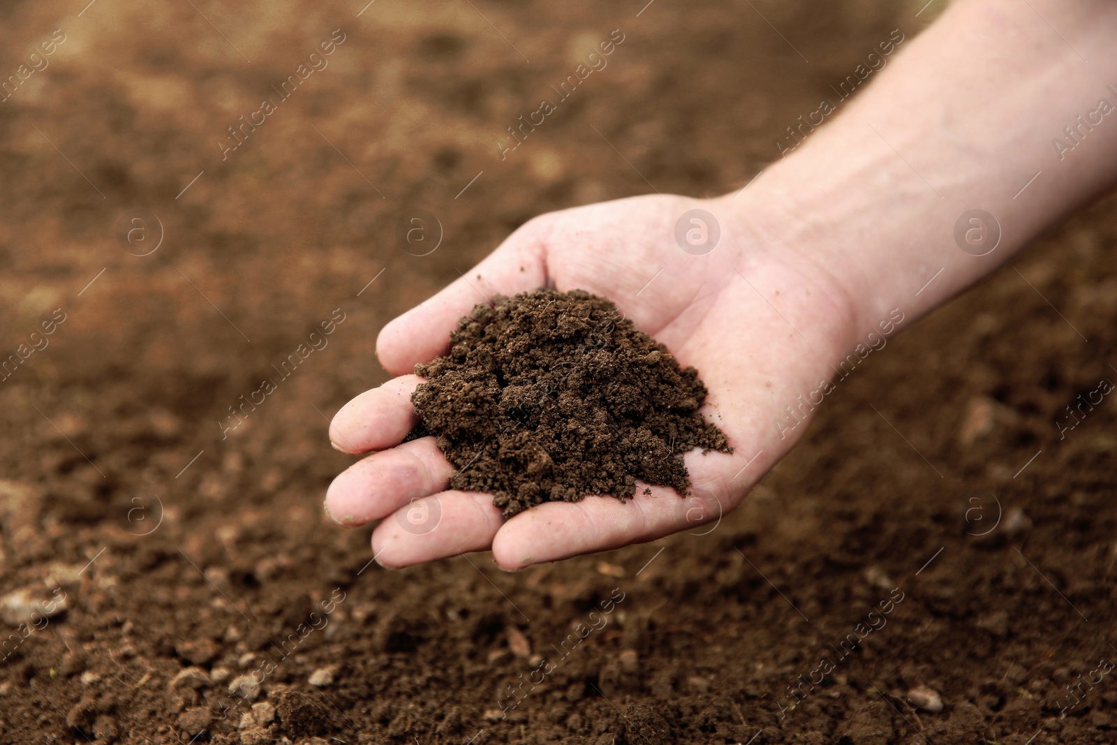 Photo of Woman holding pile of soil outdoors, closeup. Space for text