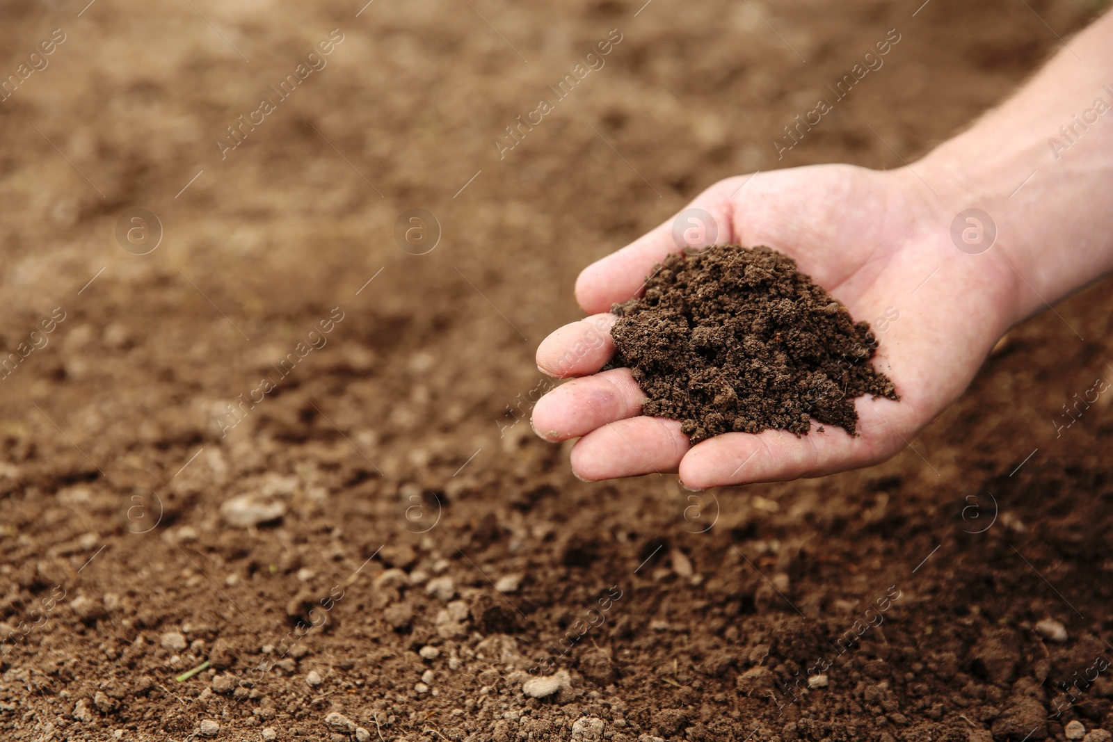 Photo of Woman holding pile of soil outdoors, closeup. Space for text