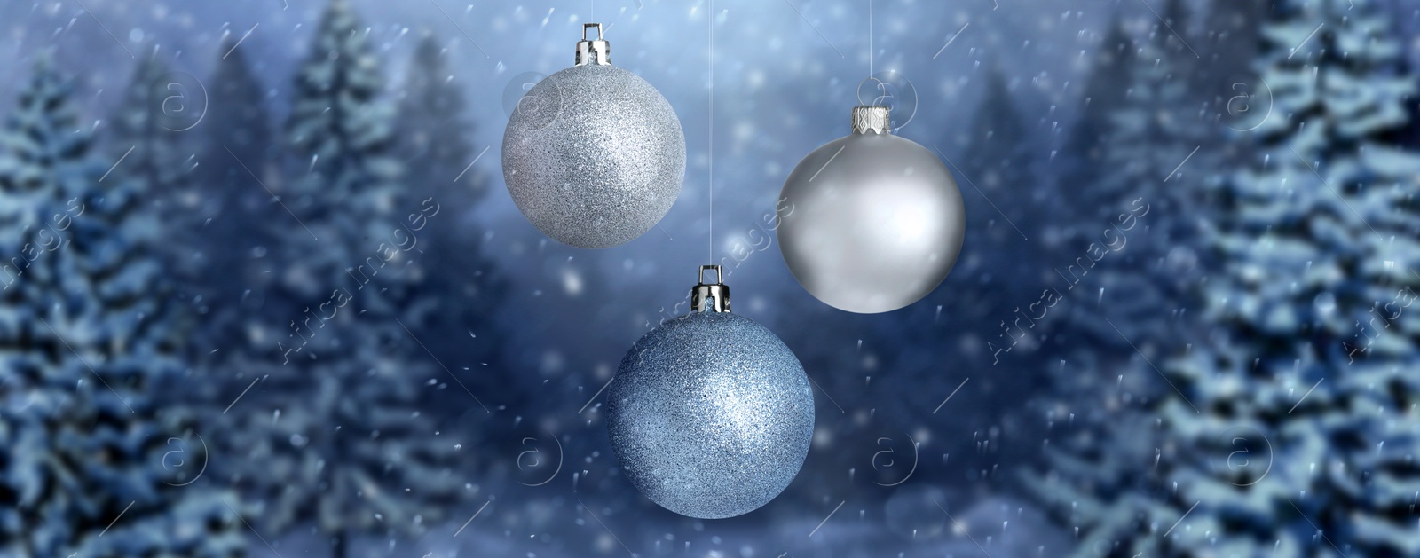 Image of Beautiful Christmas balls against snowy forest, banner design