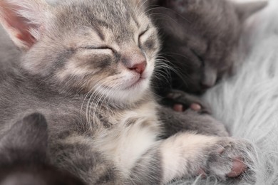 Photo of Cute fluffy kittens sleeping on faux fur. Baby animals
