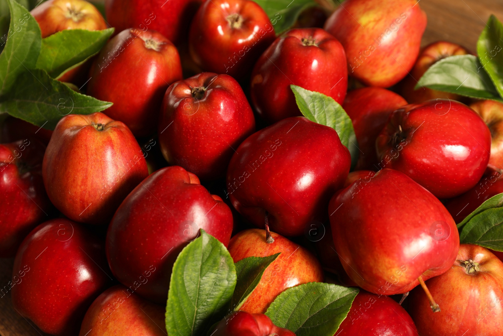 Photo of Fresh ripe red apples with leaves as background, closeup