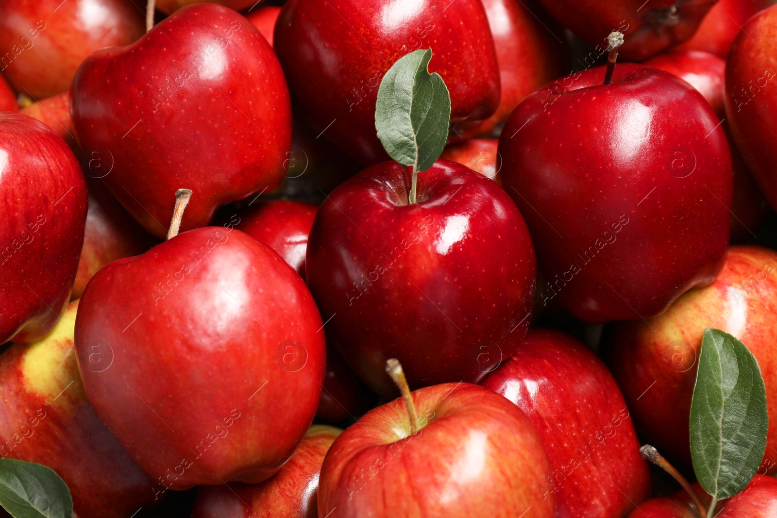 Photo of Fresh ripe red apples with leaves as background, closeup