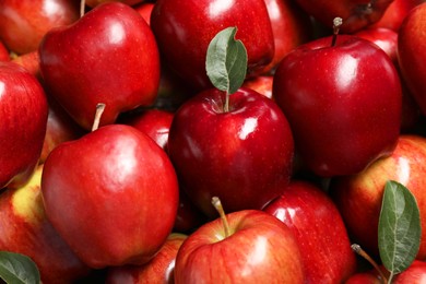 Photo of Fresh ripe red apples with leaves as background, closeup