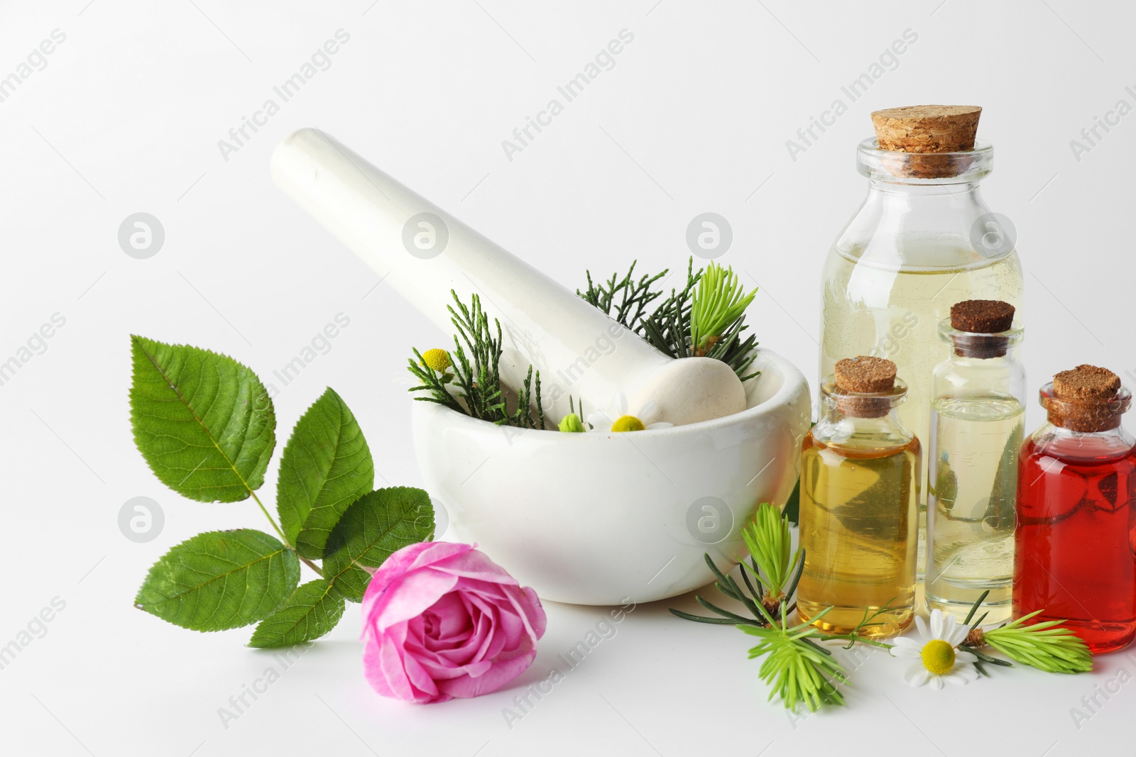 Photo of Aromatherapy. Different essential oils, flowers, mortar, pestle and fir twigs on white background