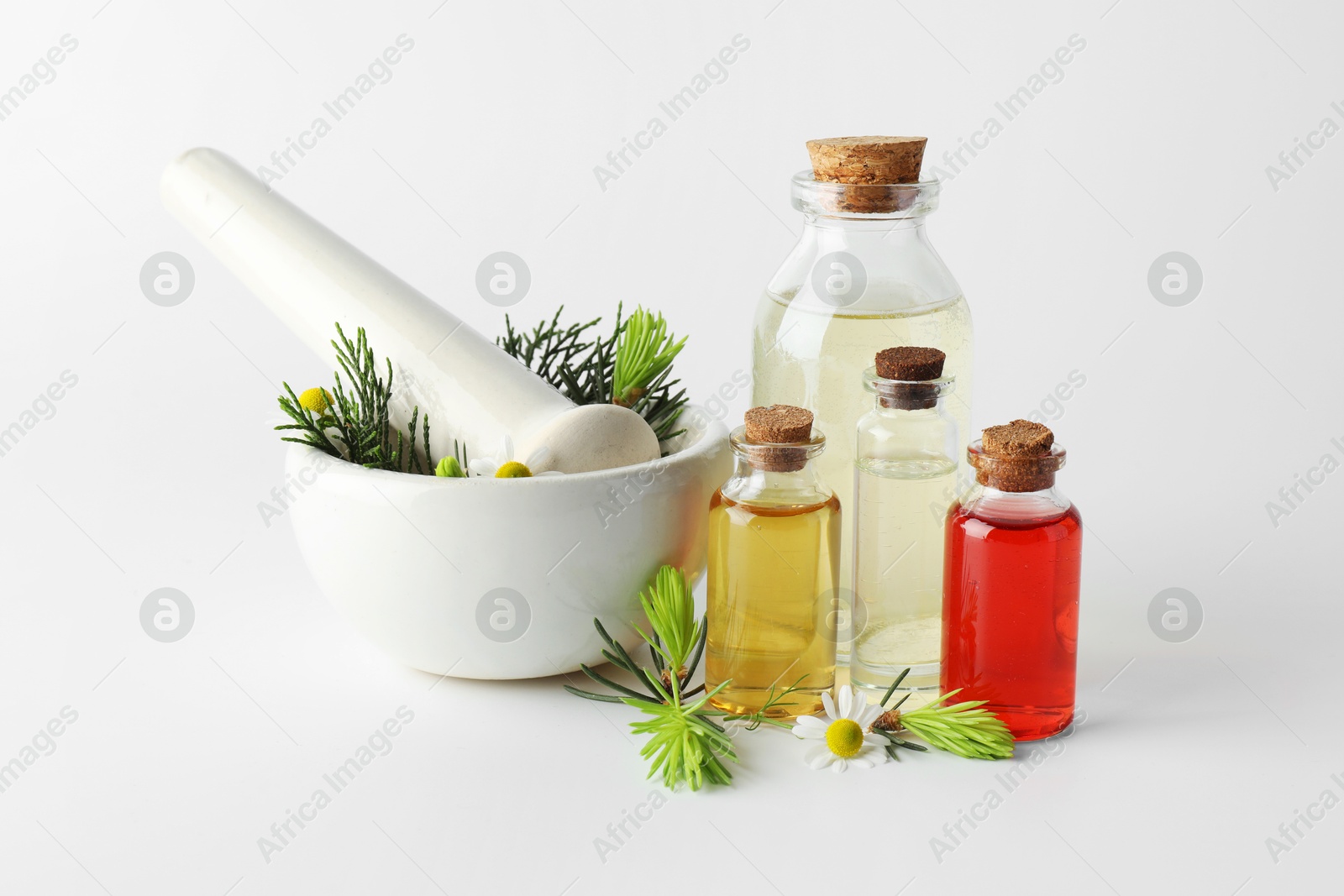 Photo of Aromatherapy. Different essential oils, flowers, mortar, pestle and fir twigs on white background