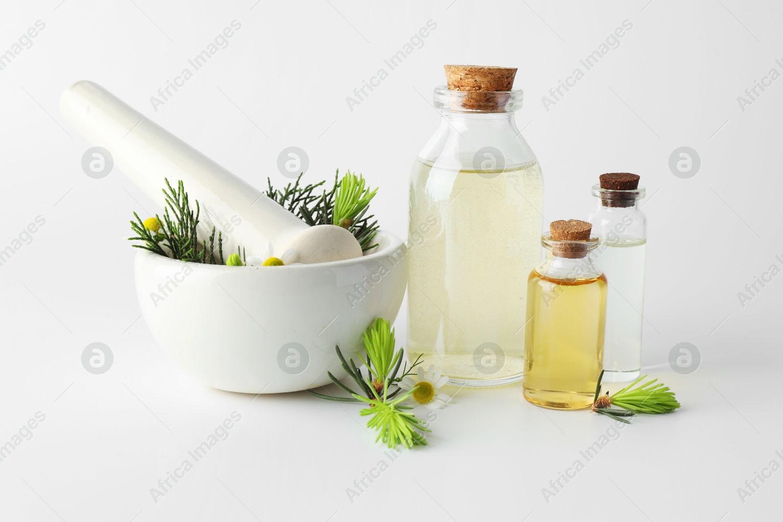 Photo of Aromatherapy. Different essential oils, chamomiles, mortar, pestle and fir twigs on white background