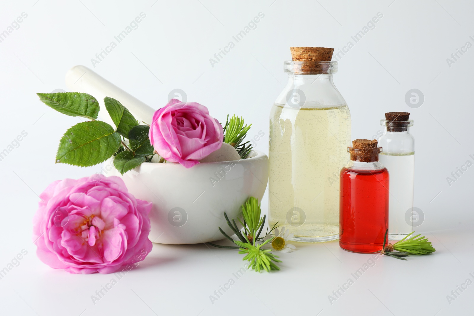 Photo of Aromatherapy. Different essential oils, flowers, mortar, pestle and fir twigs on white background