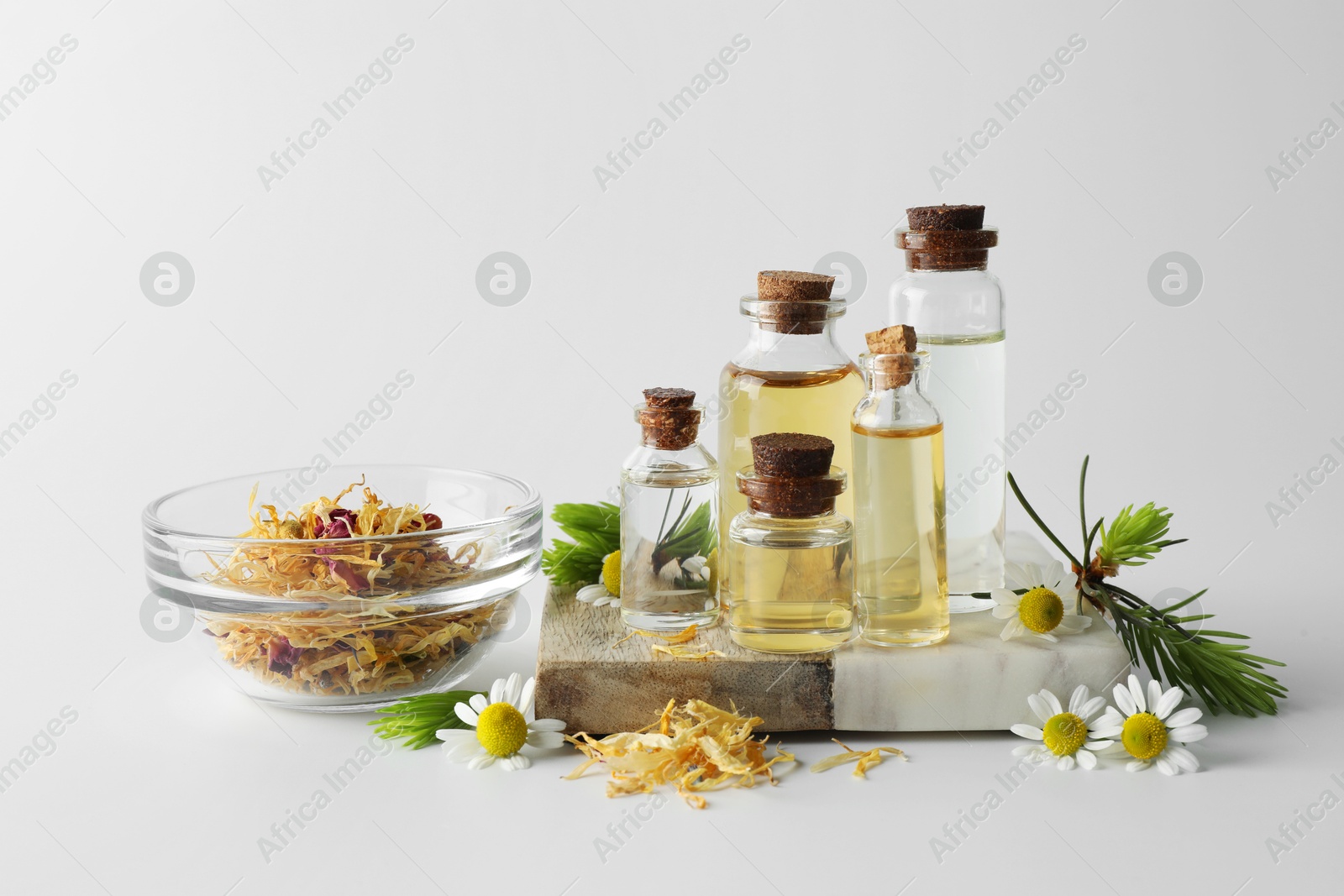 Photo of Aromatherapy. Different essential oils, dry flowers, chamomiles and fir twigs on white background