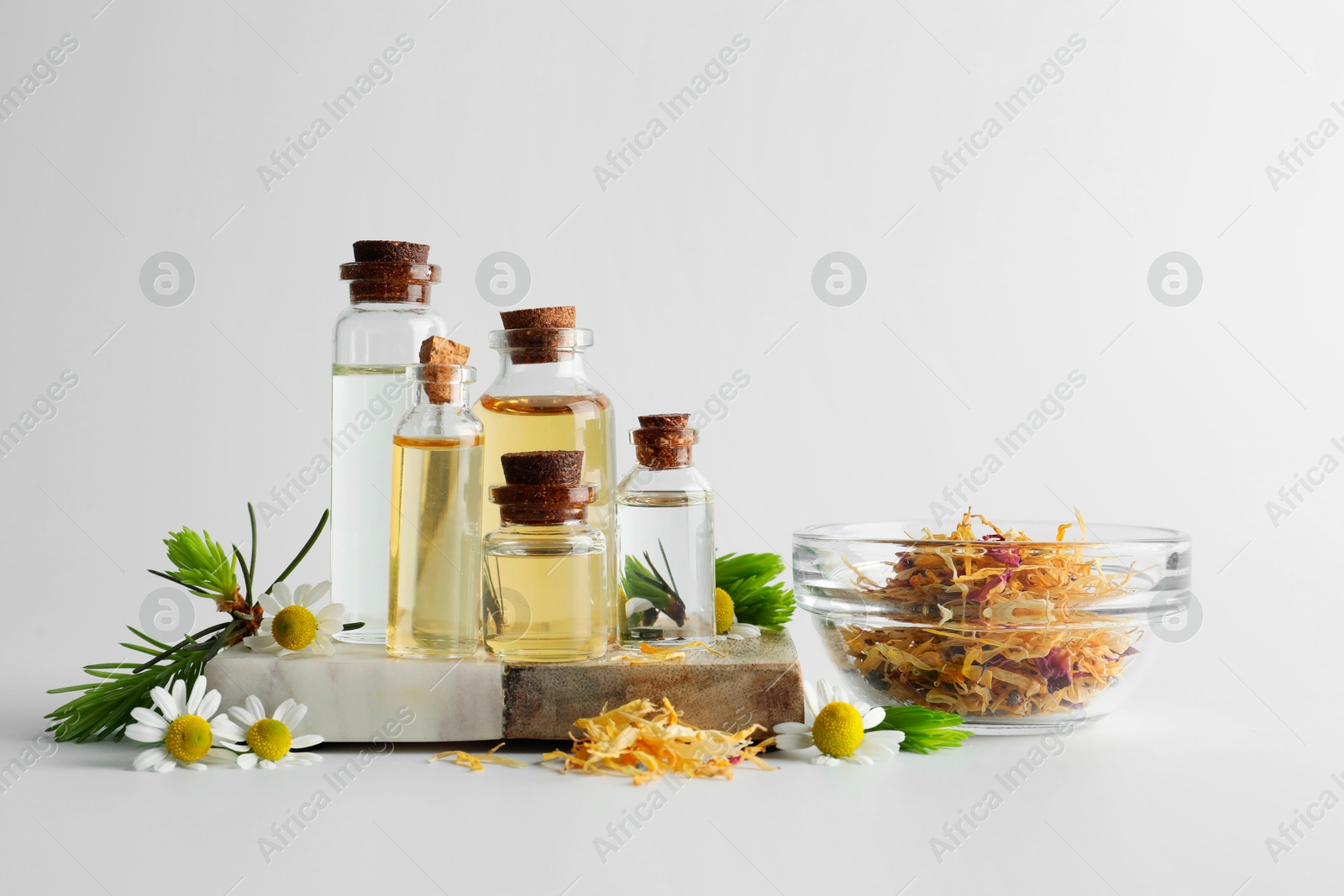 Photo of Aromatherapy. Different essential oils, dry flowers, chamomiles and fir twigs on white background