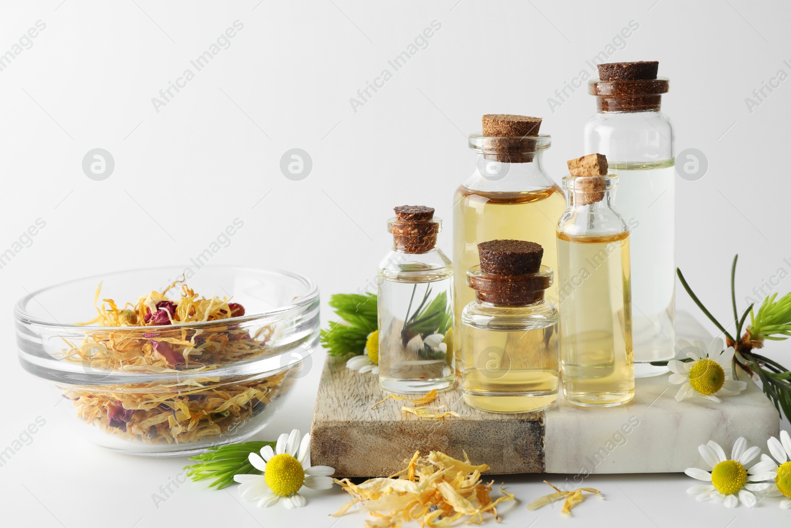 Photo of Aromatherapy. Different essential oils, dry flowers, chamomiles and fir twigs on white background