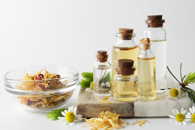 Photo of Aromatherapy. Different essential oils, dry flowers, chamomiles and fir twigs on white background