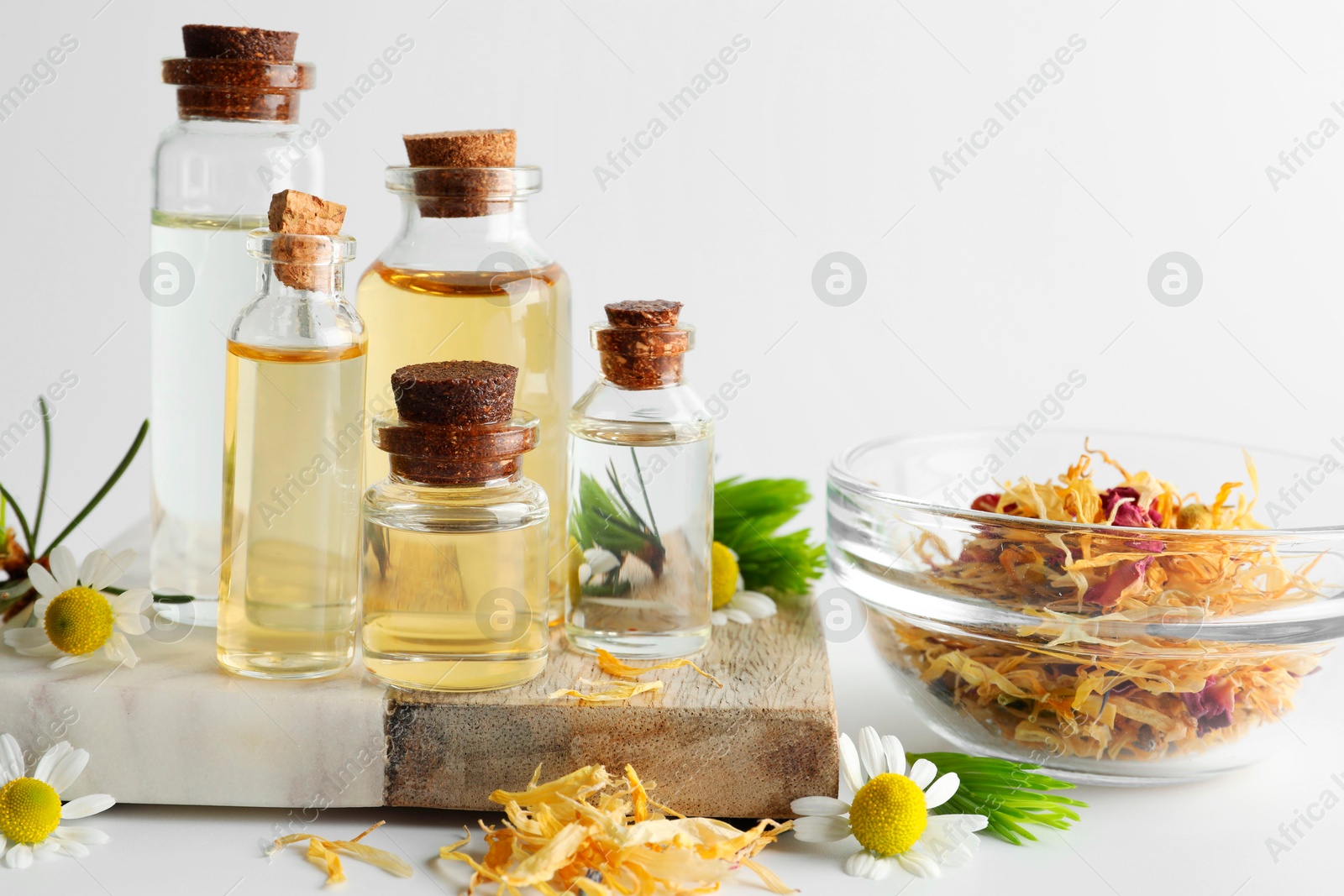 Photo of Aromatherapy. Different essential oils, dry flowers, chamomiles and fir twigs on white background