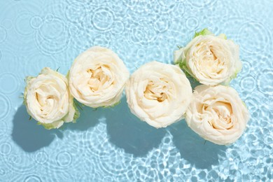 Beautiful rose flowers in water on light blue background, top view