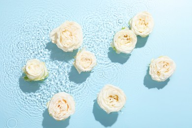 Photo of Beautiful rose flowers in water on light blue background, top view
