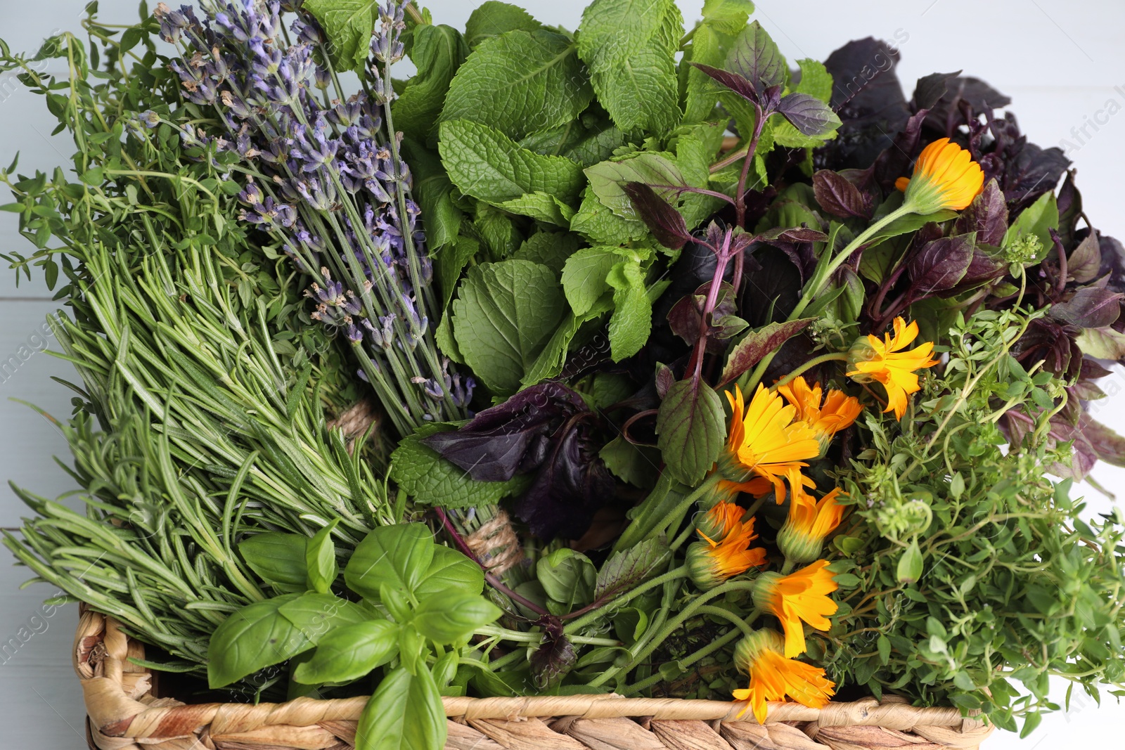 Photo of Different aromatic herbs in basket on white background, closeup