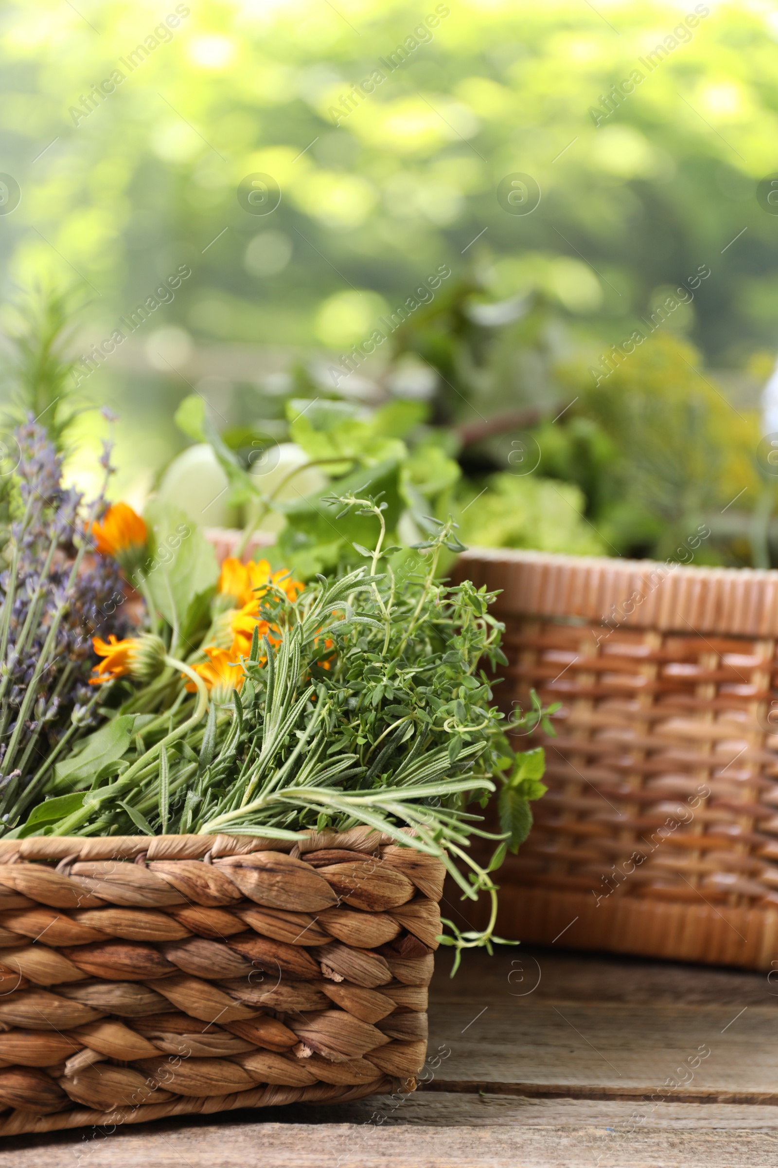 Photo of Different aromatic herbs on wooden table against blurred background, closeup