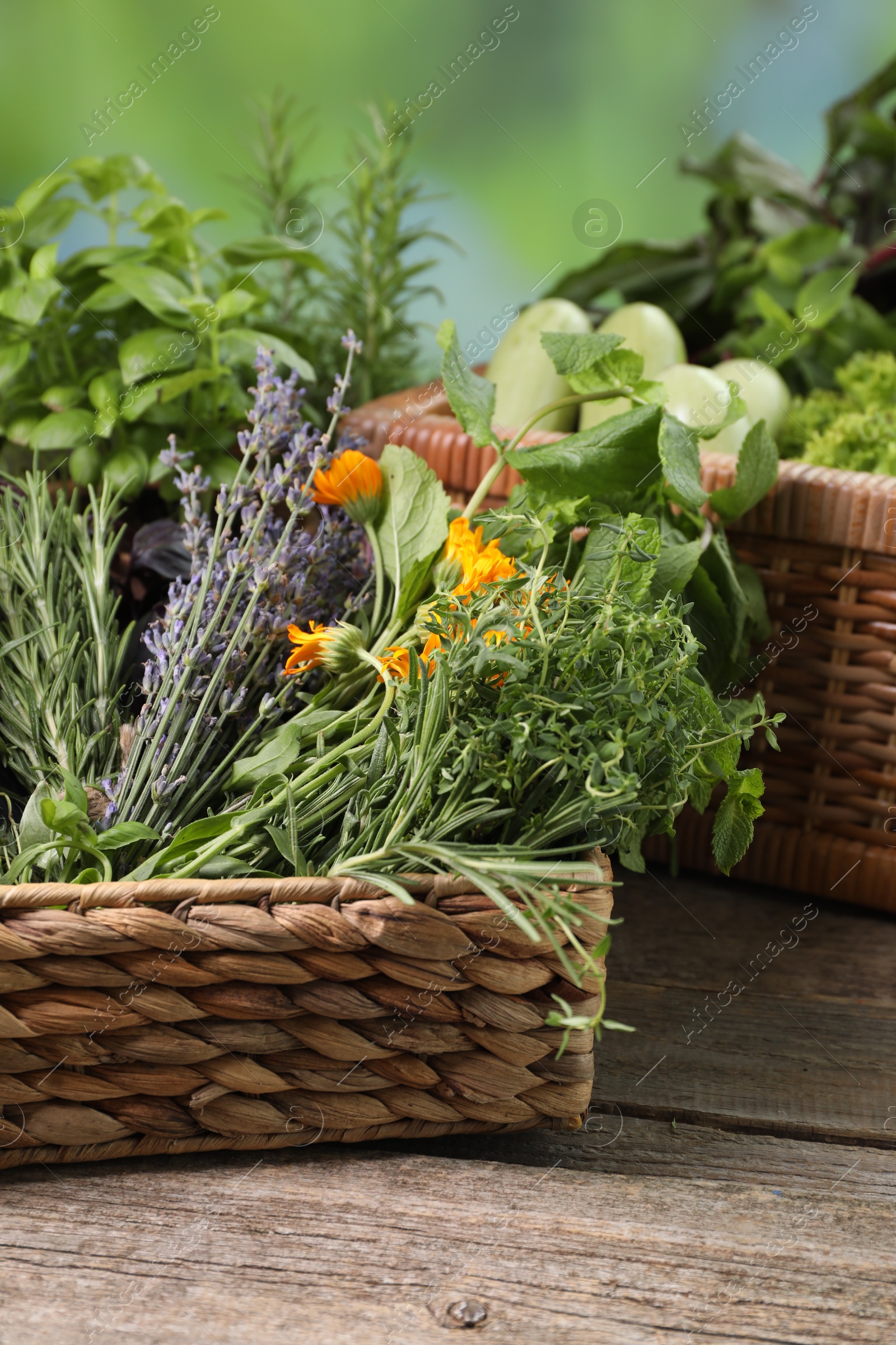 Photo of Different aromatic herbs on wooden table against blurred background, closeup