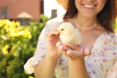 Woman with cute chick outdoors, selective focus. Baby animal