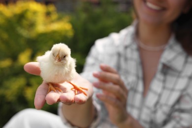 Photo of Woman with cute chick outdoors, selective focus