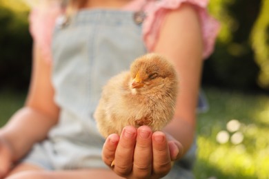 Photo of Little girl with cute chick outdoors, selective focus. Baby animal