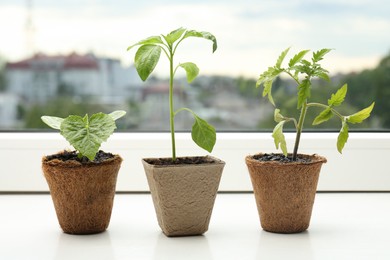 Photo of Tomato, pepper and cucumber seedlings growing in pots on window sill, closeup