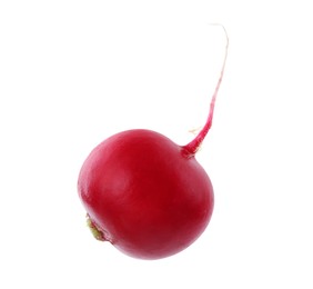 Photo of One fresh ripe radish isolated on white