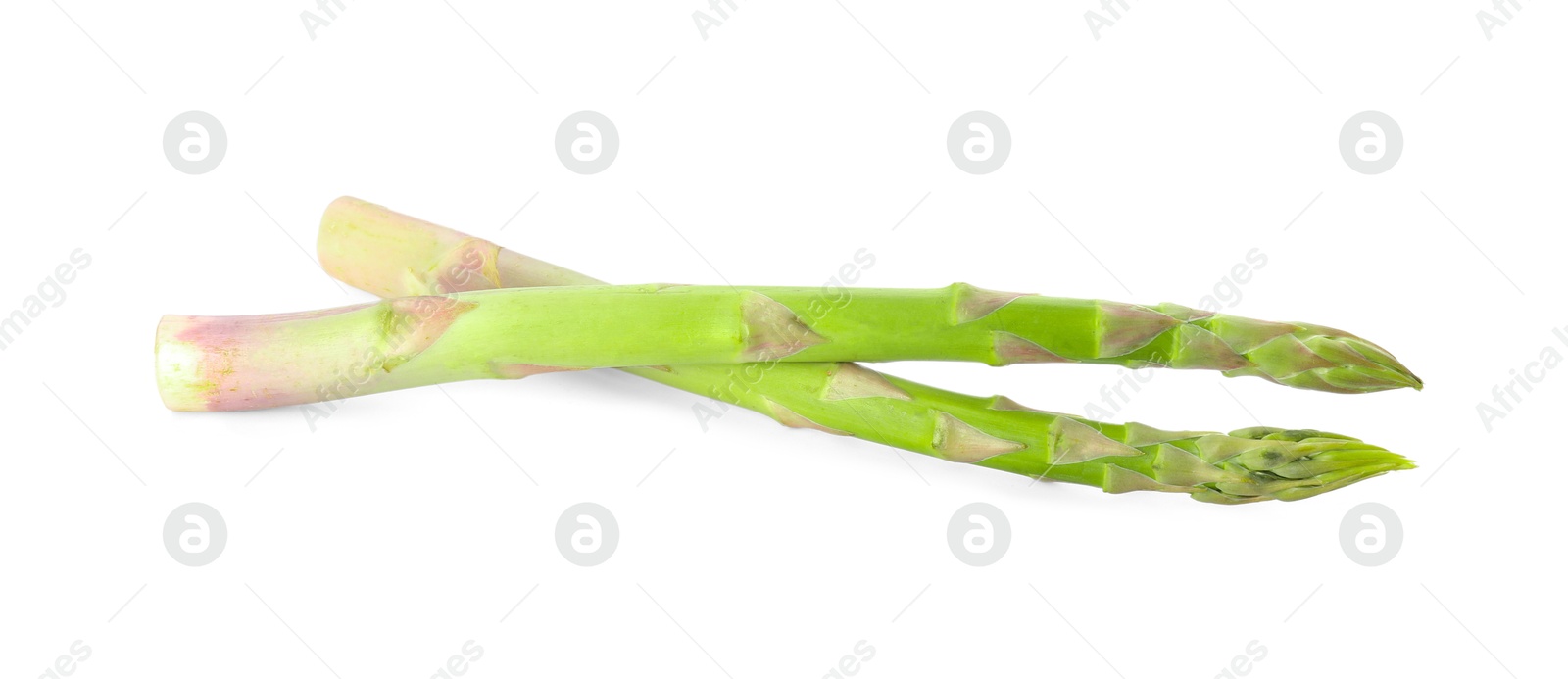 Photo of Fresh green asparagus stems isolated on white