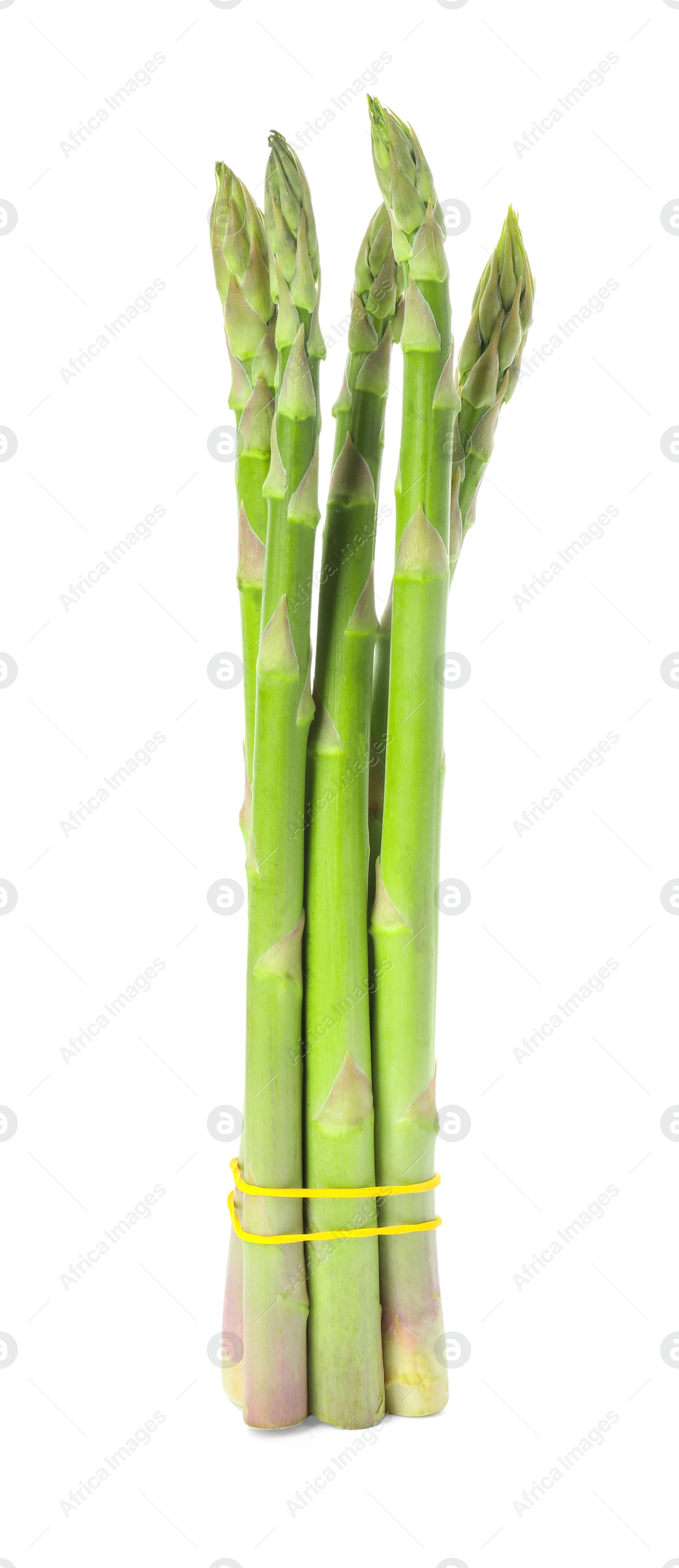 Photo of Bunch of fresh green asparagus stems isolated on white