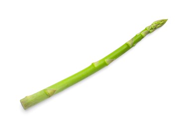 Photo of One fresh green asparagus stem isolated on white, top view