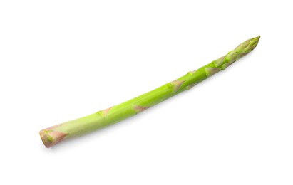 Photo of One fresh green asparagus stem isolated on white, top view