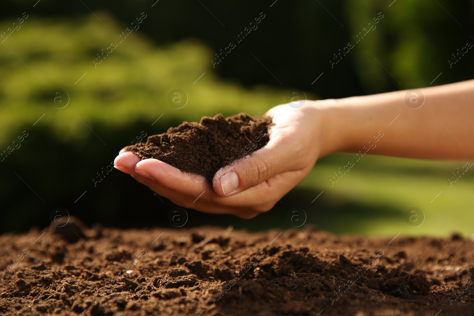 Photo of Woman holding pile of soil outdoors, closeup