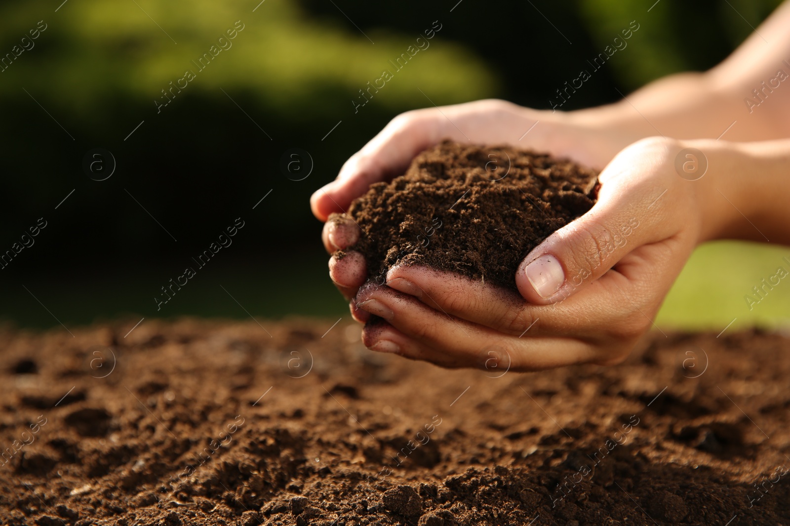 Photo of Woman holding pile of soil outdoors, closeup. Space for text