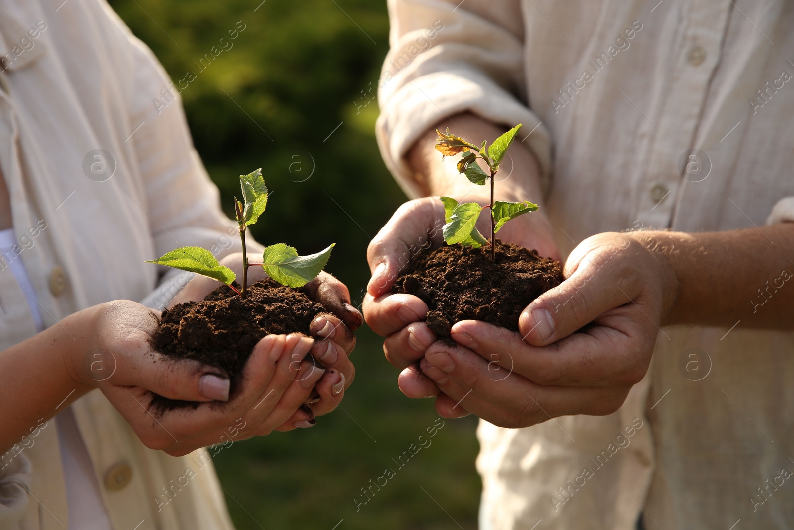 Photo of Couple holding seedlings with soil outdoors, closeup