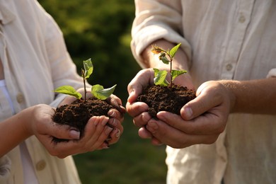 Couple holding seedlings with soil outdoors, closeup