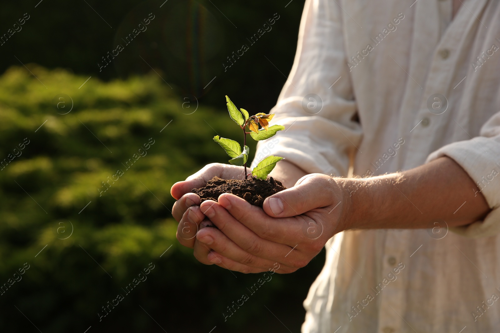 Photo of Man holding seedling with soil outdoors, closeup. Space for text