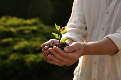 Photo of Man holding seedling with soil outdoors, closeup. Space for text