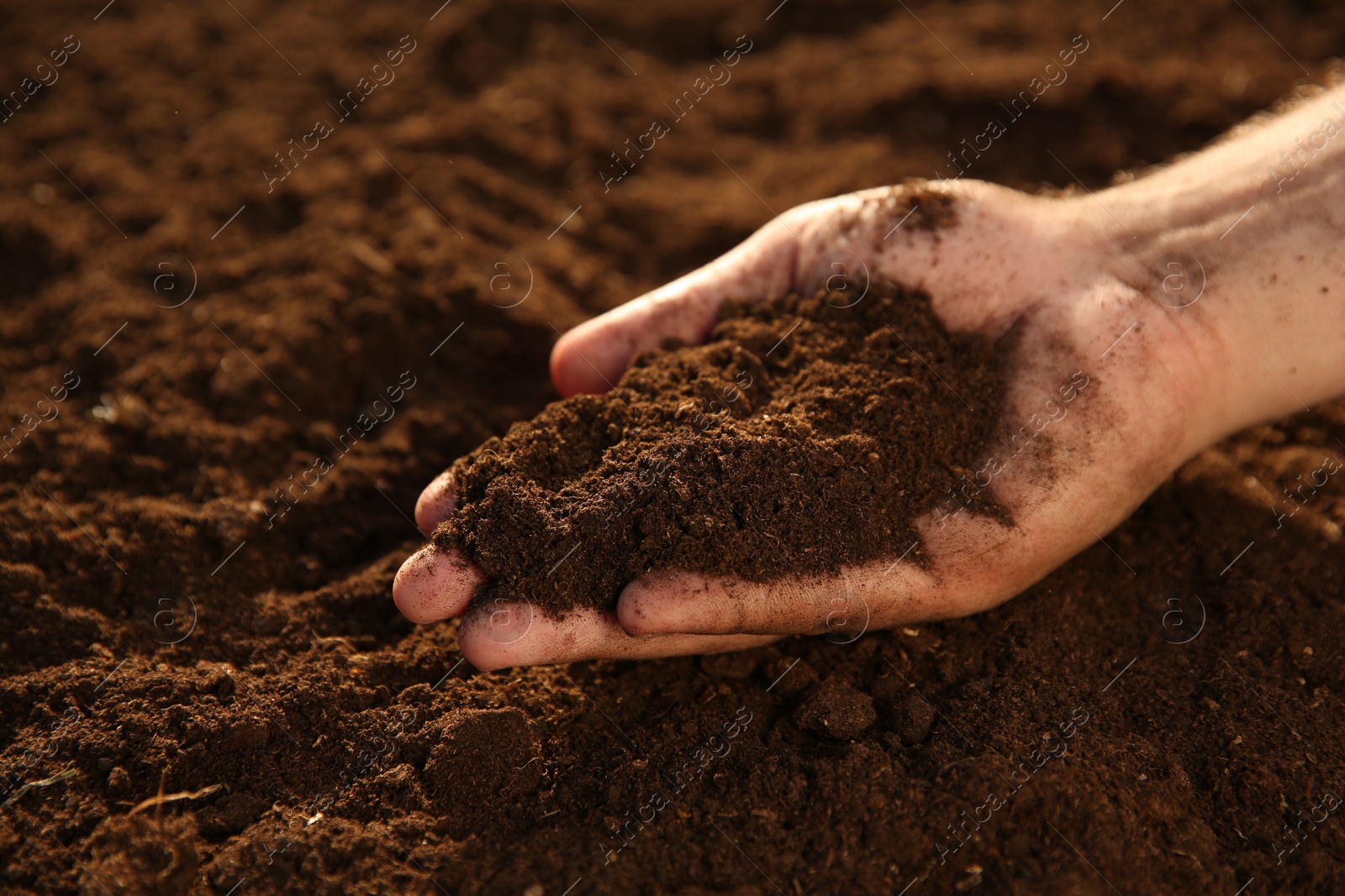 Photo of Man holding pile of soil outdoors, closeup