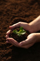 Man holding seedling with soil outdoors, closeup