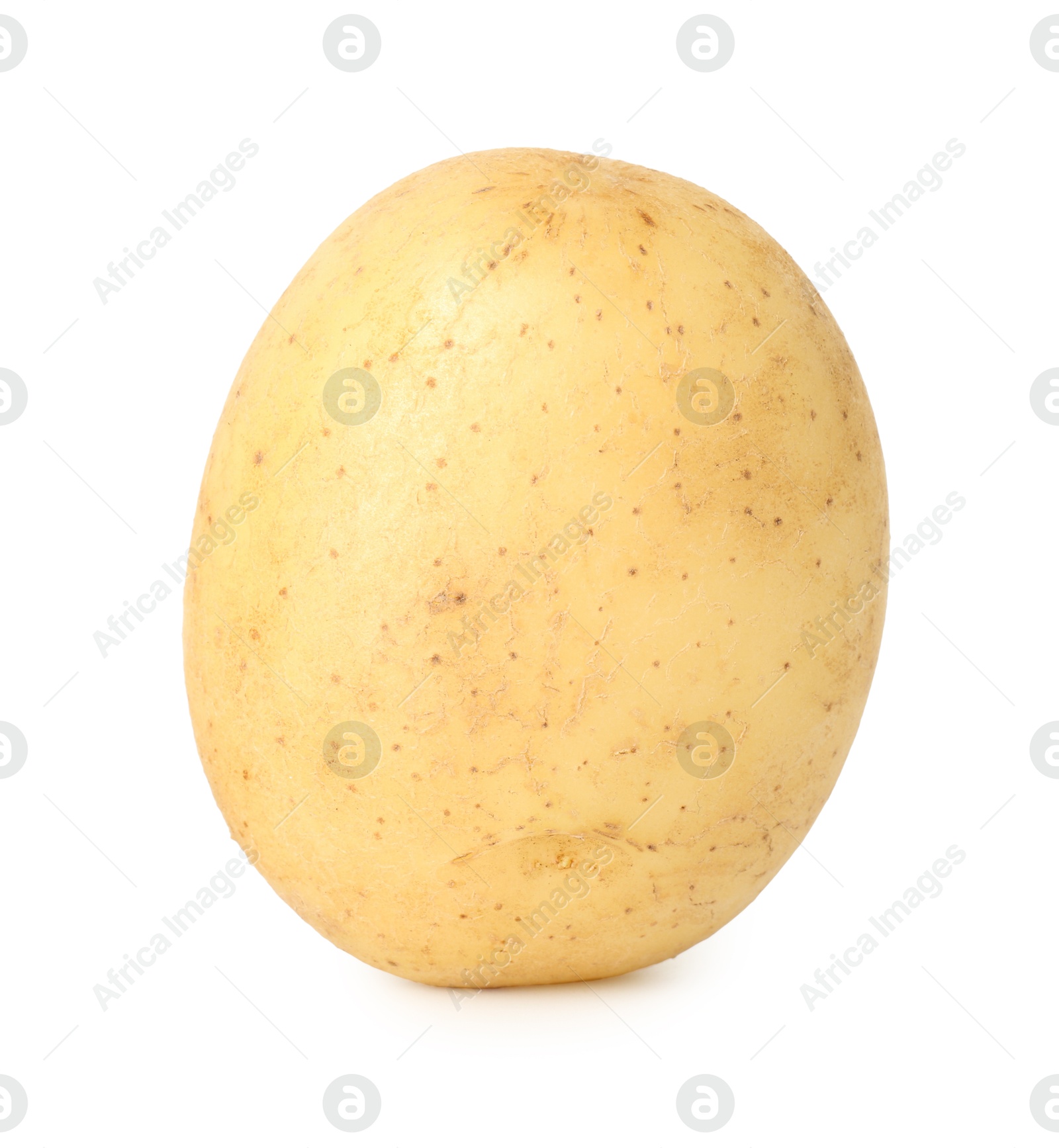 Photo of One young fresh potato isolated on white