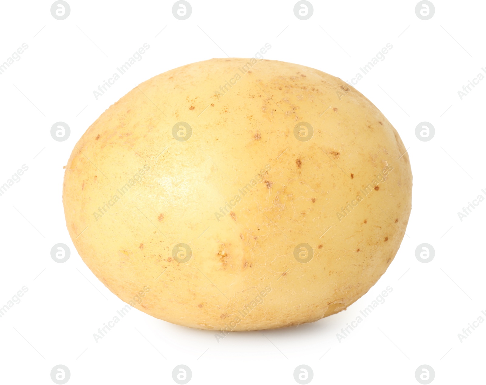 Photo of One young fresh potato isolated on white