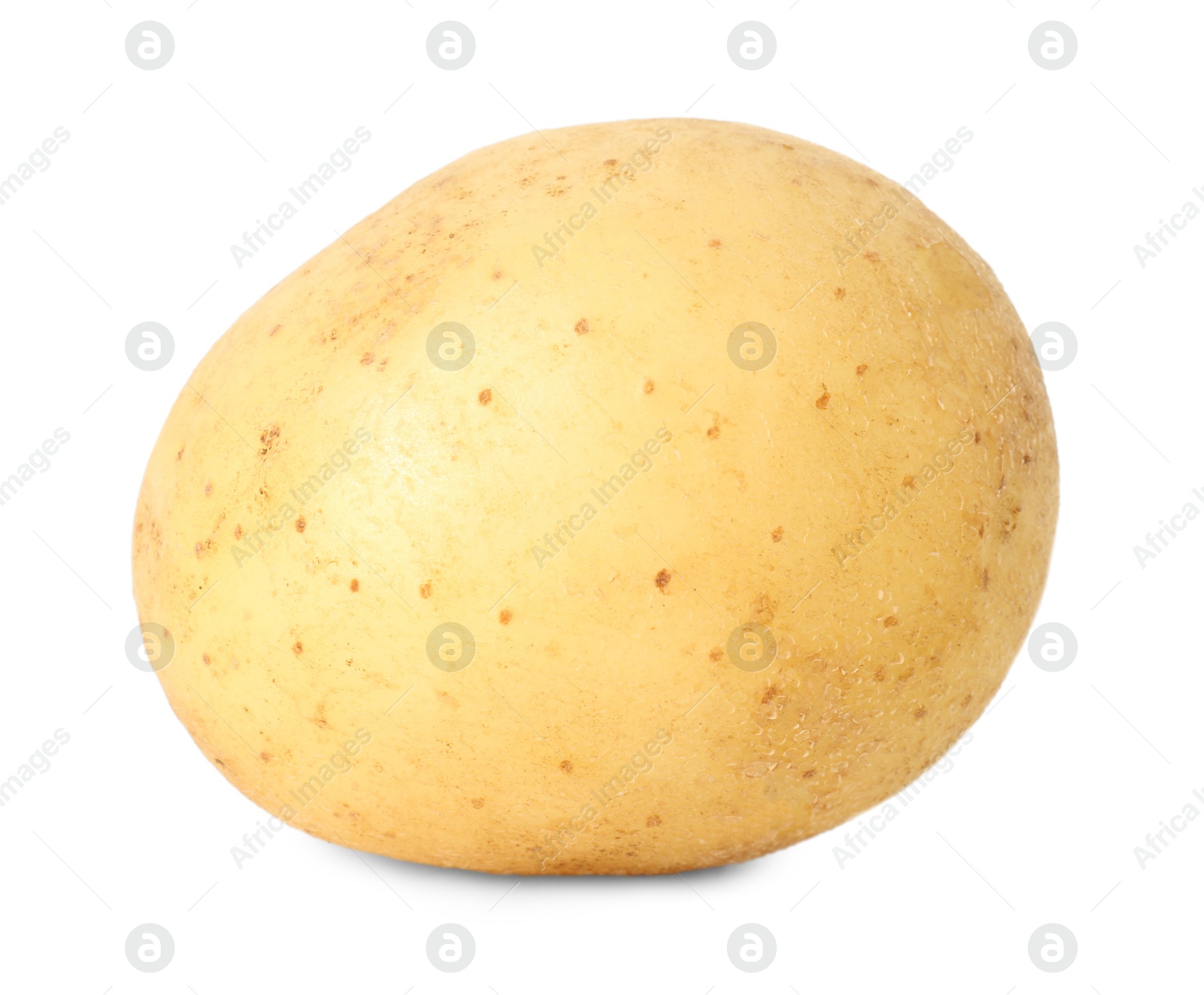 Photo of One young fresh potato isolated on white