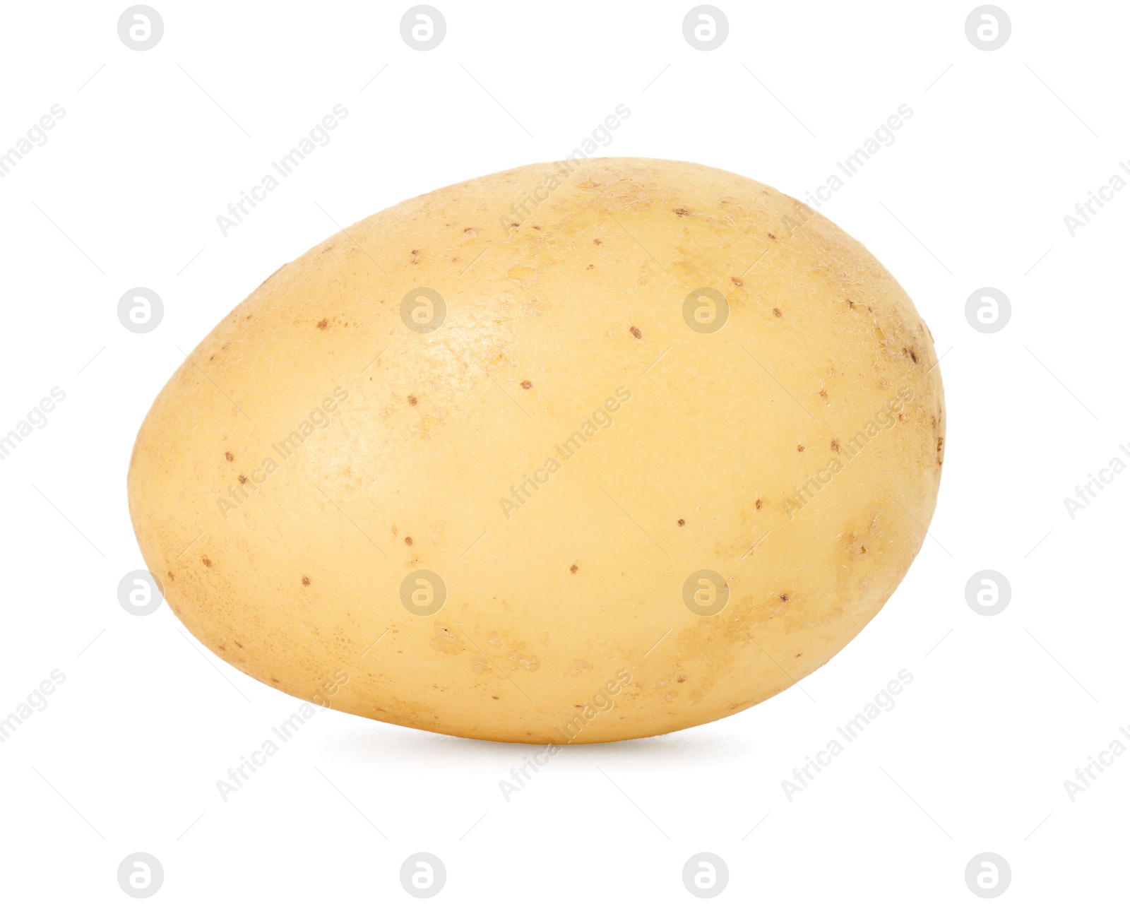 Photo of One young fresh potato isolated on white