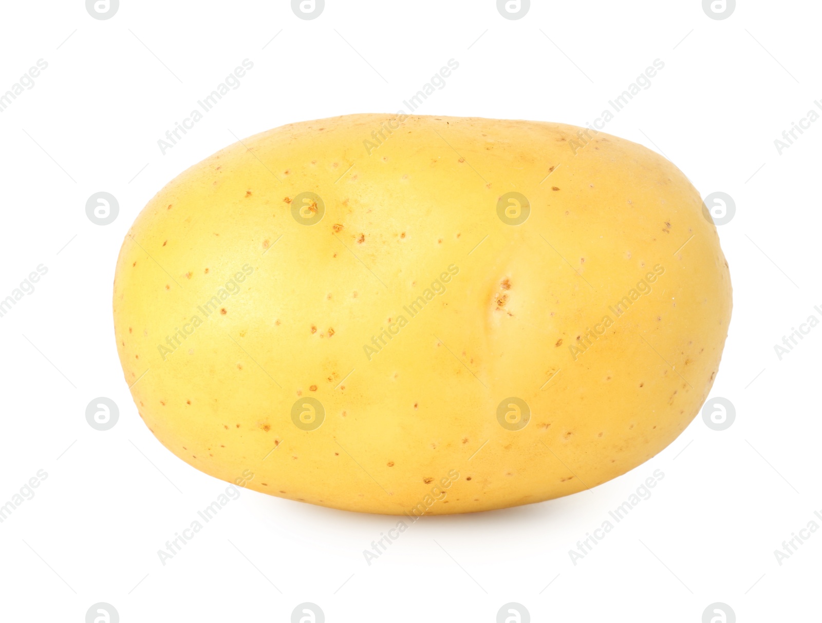 Photo of One young fresh potato isolated on white