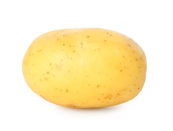 Photo of One young fresh potato isolated on white