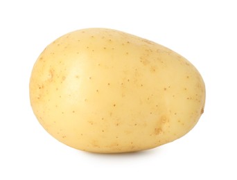 Photo of One young fresh potato isolated on white