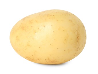 Photo of One young fresh potato isolated on white