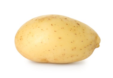 Photo of One young fresh potato isolated on white