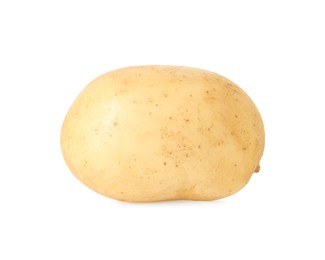 Photo of One young fresh potato isolated on white