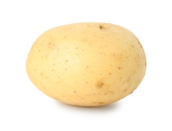 Photo of One young fresh potato isolated on white