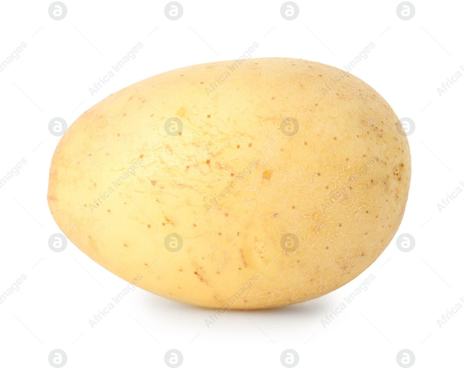 Photo of One young fresh potato isolated on white